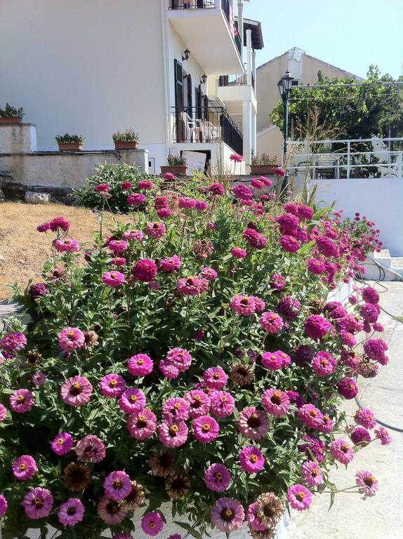 Dimitrakis Apartments Kassiopi Buitenkant foto