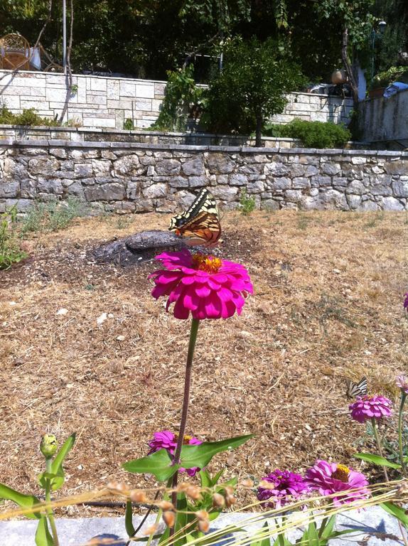 Dimitrakis Apartments Kassiopi Buitenkant foto